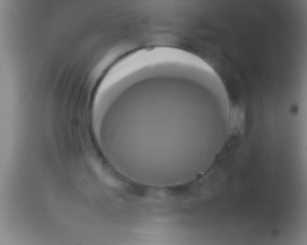 X0000113930195200910161859