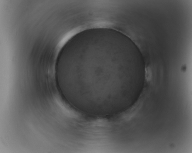 X0000113930196200910161859