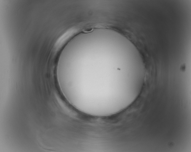 X0000113930197200910161859