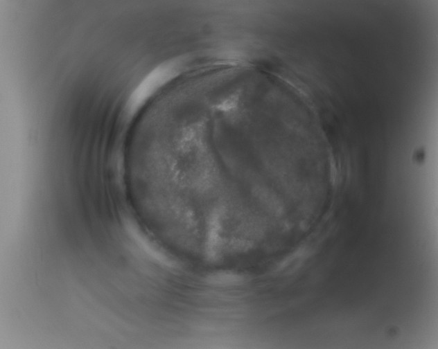 X0000113930198200910161859
