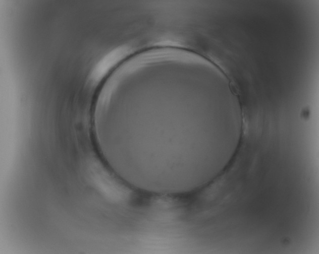 X0000113930199200910161859