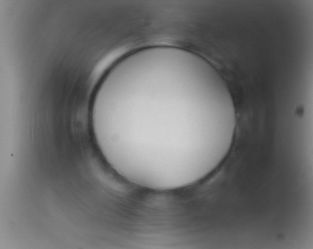 X0000113930200200910161859