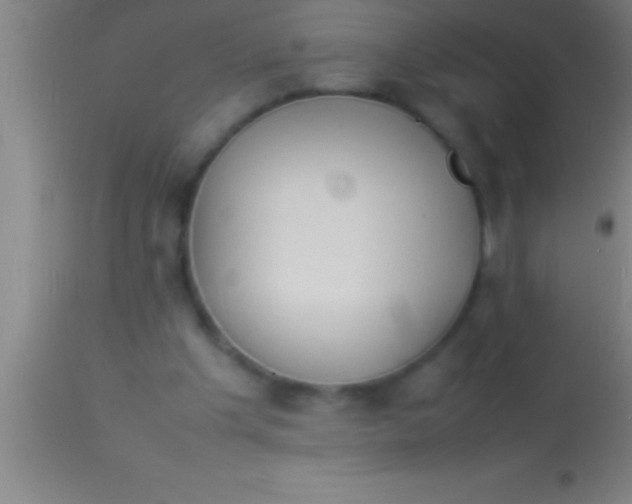 X0000113930201200910161859