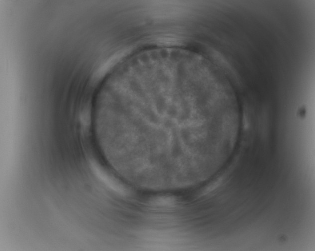X0000113930202200910161859