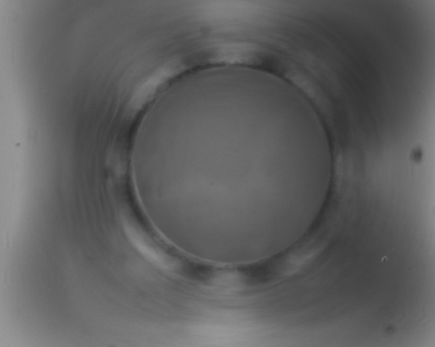 X0000113930203200910161859