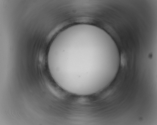 X0000113930204200910161859
