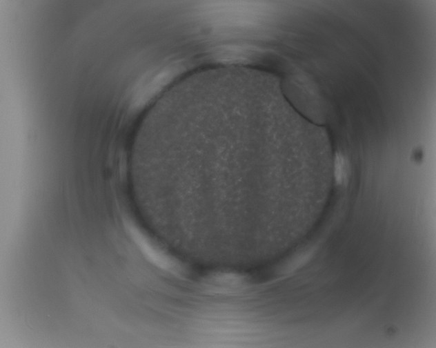 X0000113930205200910161859