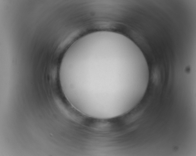 X0000113930206200910161859