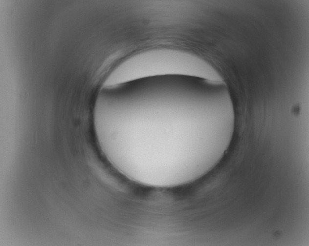 X0000113930207200910161859