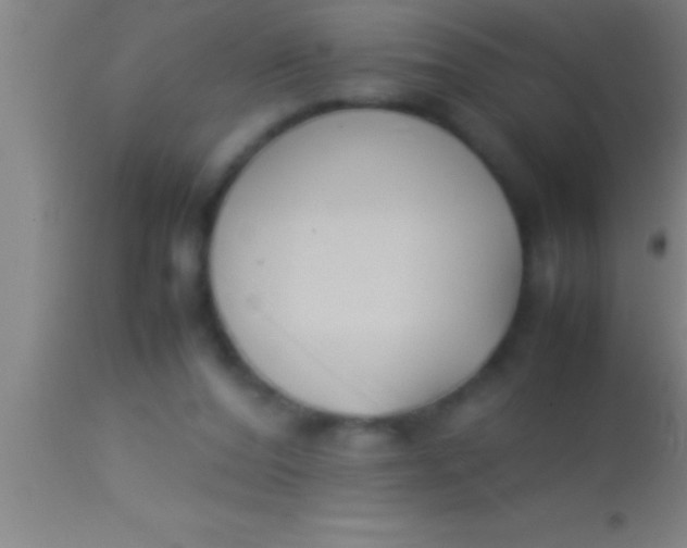 X0000113930208200910161859