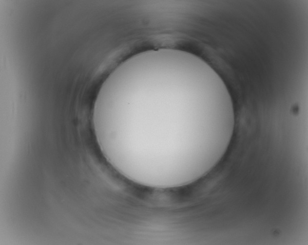X0000113930209200910161859