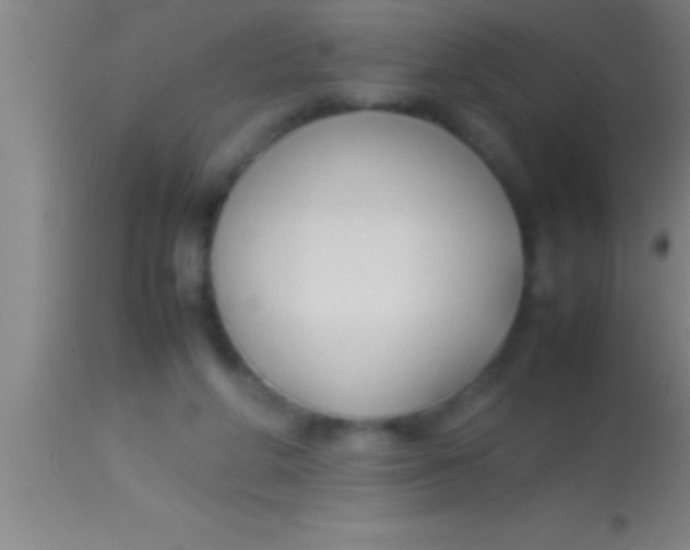 X0000113930210200910161859
