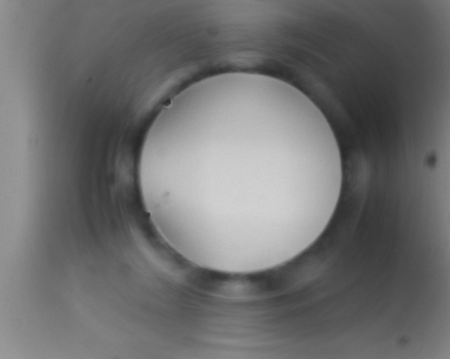 X0000113930212200910161859