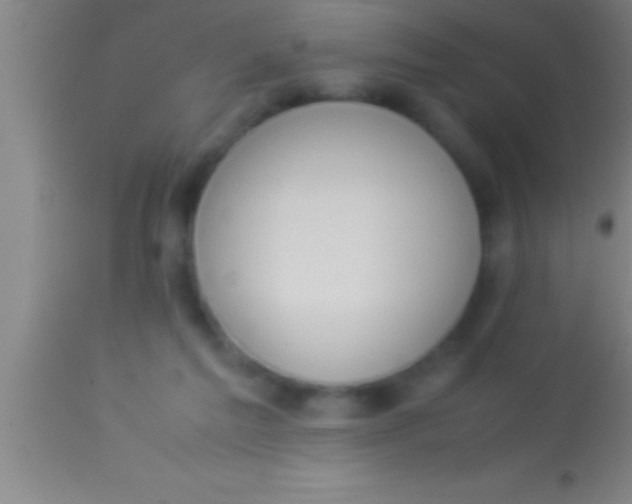 X0000113930213200910161859