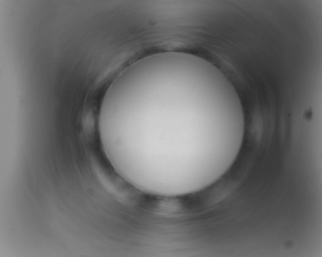 X0000113930214200910161859