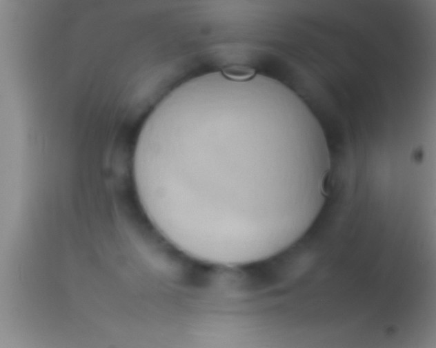 X0000113930215200910161859