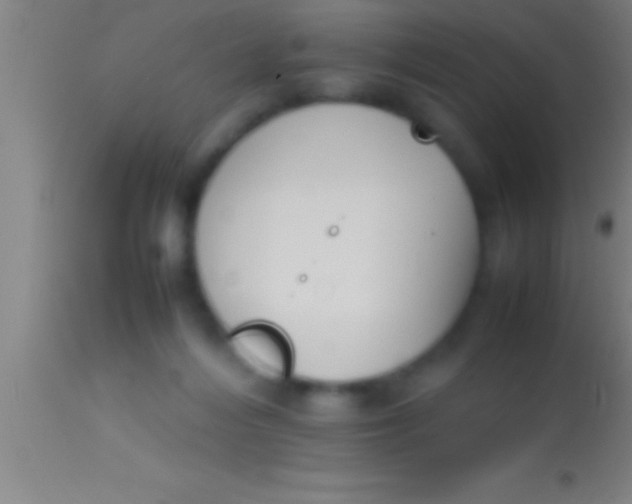 X0000113930216200910161859