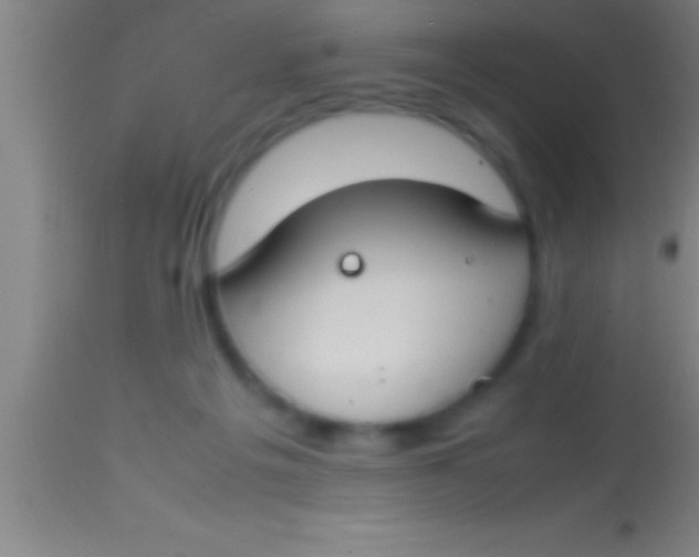 X0000113930217200910161859