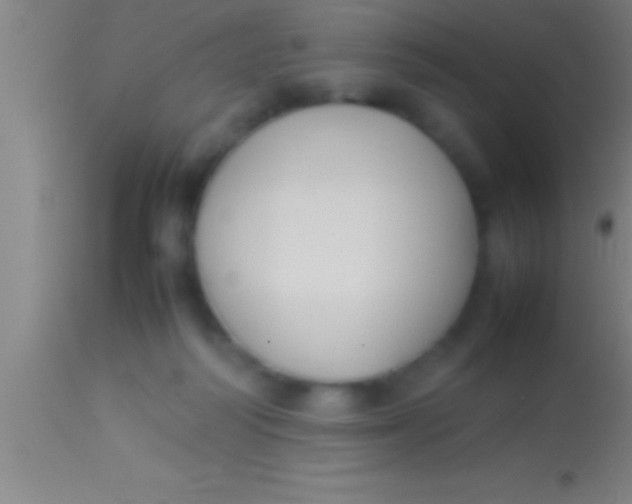 X0000113930218200910161859