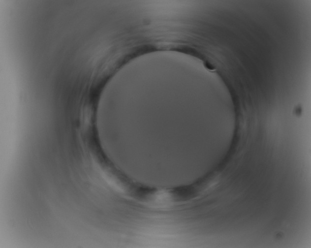 X0000113930219200910161859
