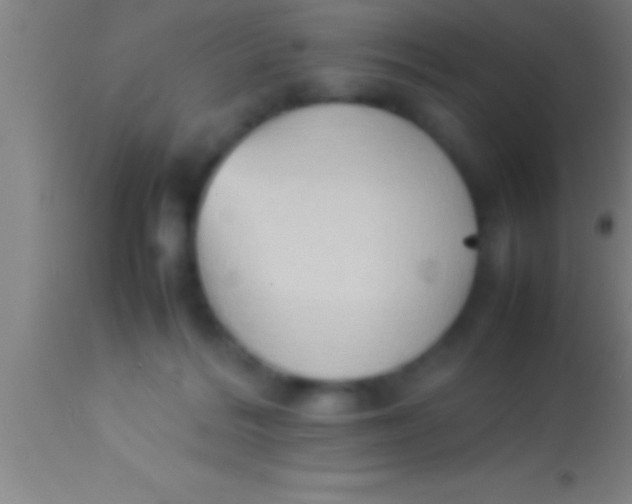 X0000113930220200910161859