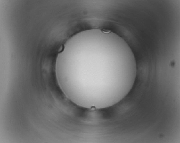 X0000113930221200910161859