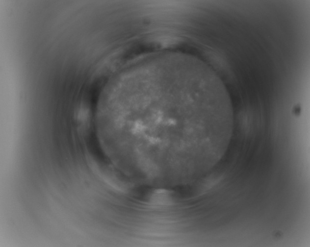X0000113930222200910161859