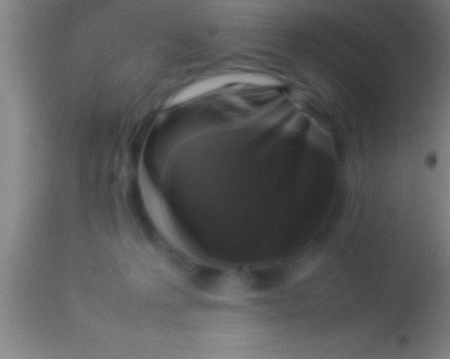 X0000113930223200910161859