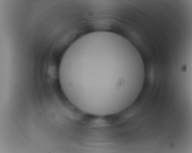 X0000113930224200910161859