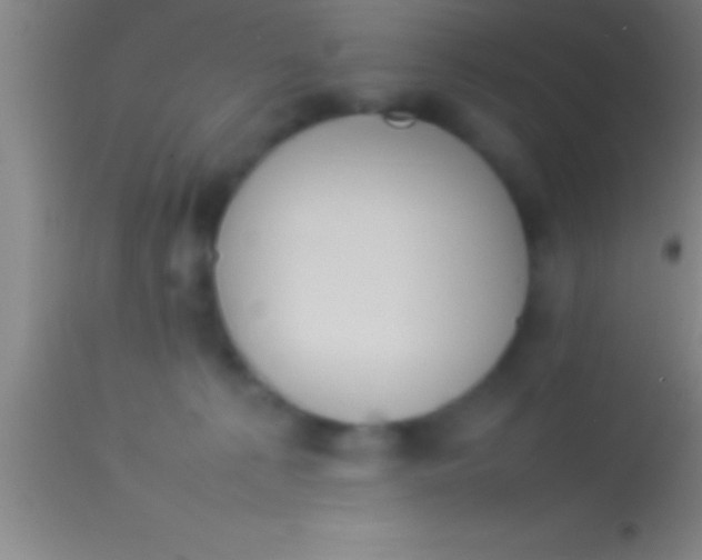 X0000113930225200910161859