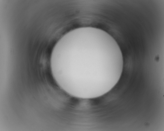 X0000113930226200910161859