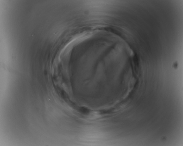 X0000113930227200910161859