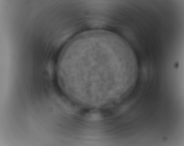 X0000113930228200910161859