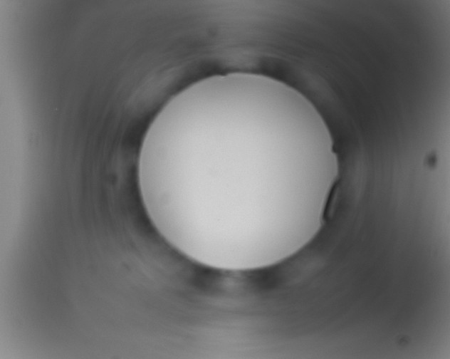 X0000113930229200910161859