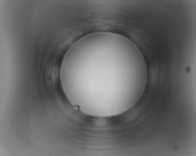 X0000113930230200910161859