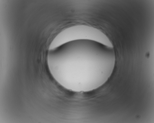 X0000113930231200910161859