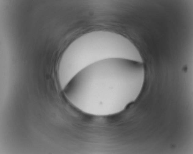 X0000113930233200910161859
