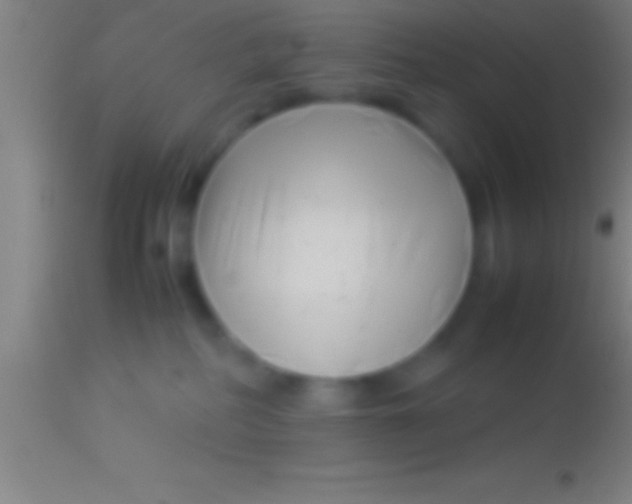 X0000113930234200910161859