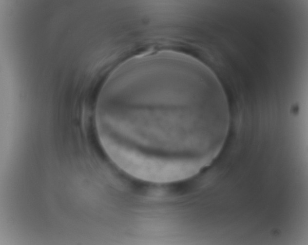 X0000113930235200910161859