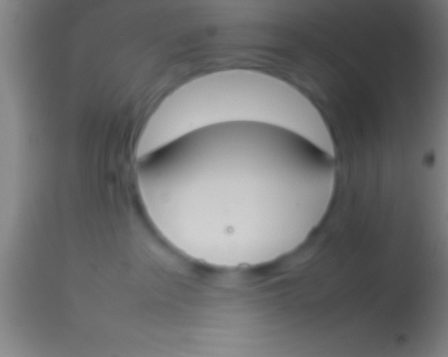 X0000113930237200910161859