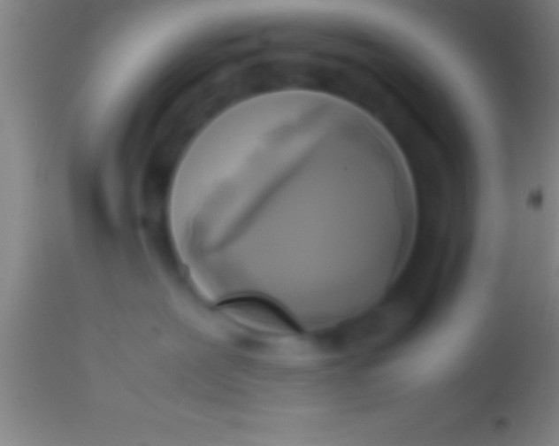 X0000113930239200910161859