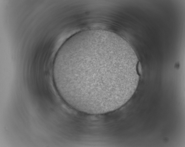 X0000113930241200910161858