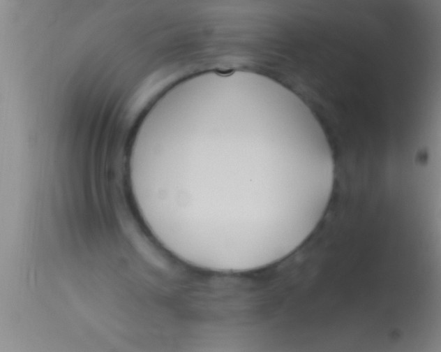 X0000113930242200910161858