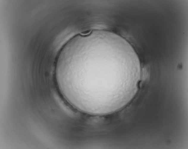 X0000113930243200910161858