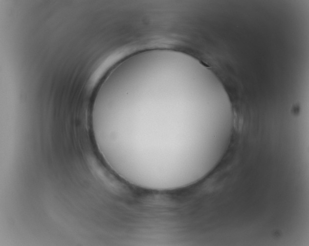 X0000113930244200910161858
