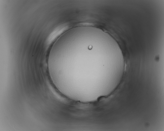 X0000113930245200910161858