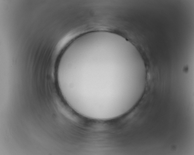 X0000113930246200910161858