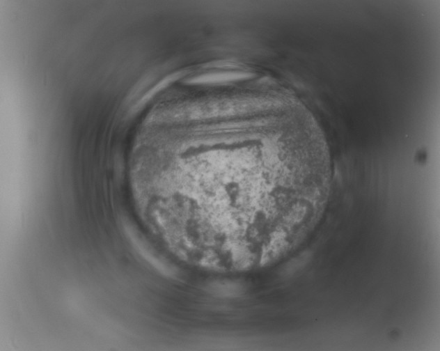 X0000113930247200910161858