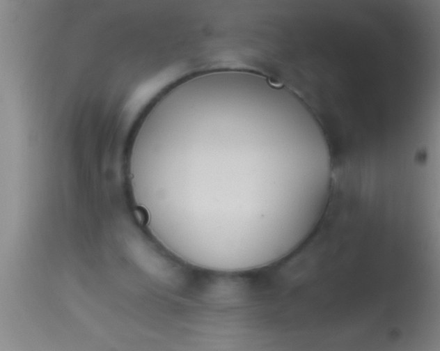 X0000113930248200910161858