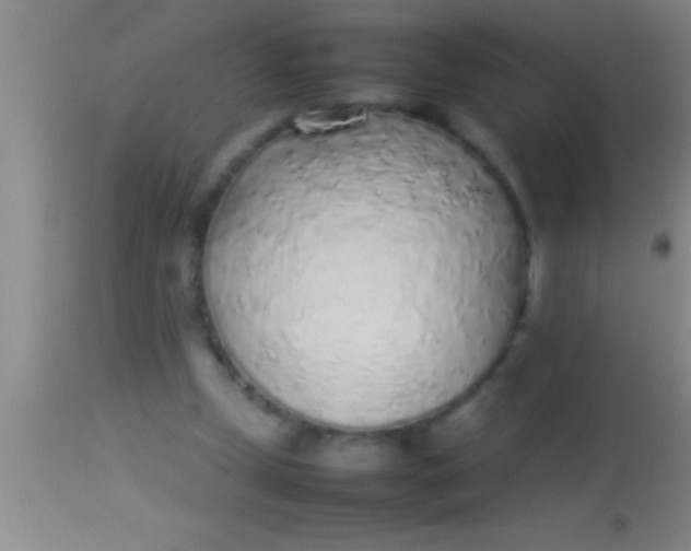 X0000113930249200910161858